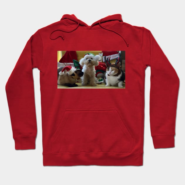 A Very Groliver Christmas Hoodie by groversparents